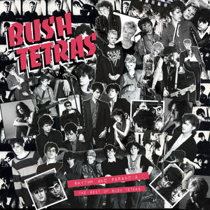 Bush Tetras - Rhythm & Paranoia: The Best of Bush Tetras (3LP + Book Box Set) - Good Records To Go