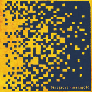 Pinegrove - Marigold (Yellow Vinyl) - Good Records To Go