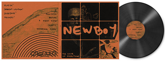 NEWBOY -  The Color Of Everything (Import)