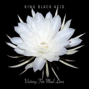 King Black Acid   - Victory For Mad Love