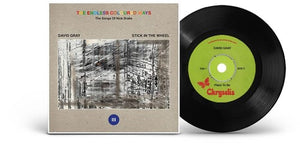 David Gray - The Endless Coloured Ways: The Songs of Nick Drake (7" Vinyl)
