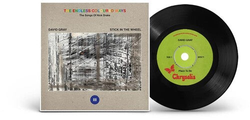 David Gray - The Endless Coloured Ways: The Songs of Nick Drake (7