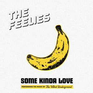 The Feelies - Some Kinda Love: Performing The Music Of The Velvet Underground (Indie Exclusive Colored Grey Vinyl)