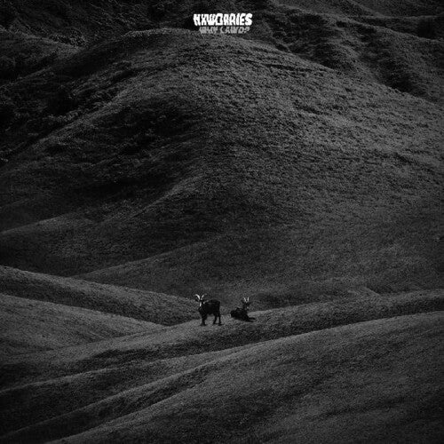 NxWorries - Why Lawd? (Blue Splatter Vinyl) – Good Records To Go