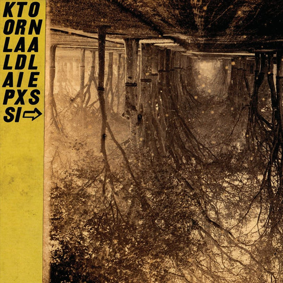 A Silver Mt. Zion - Kollaps Tradixionales [With CD] [With Book] [With Poster] [Deluxe Edition]