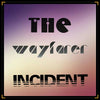 The Wayfarer Incident -  The Wayfarer Incident