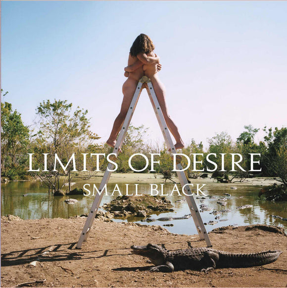 Small Black - Limits Of Desire: 10th Anniversary - Coke Bottle Clear Vinyl [Import]