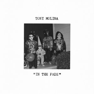 Tony Molina - In the Fade (Vinyl)