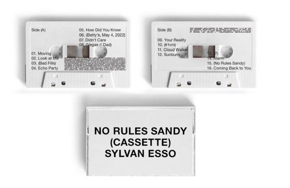 Sylvan Esso - No Rules Sandy (White Cassette)