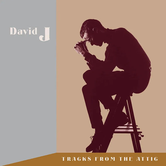 David J  - Tracks From The Attic (3LP)
