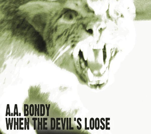 A.A. Bondy - When The Devil's Loose - Good Records To Go