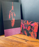 Alice Cooper - Killer (180 Gram Audiophile Vinyl/50th Anniversary/Die-Cut Gatefold & Calendar) - Good Records To Go