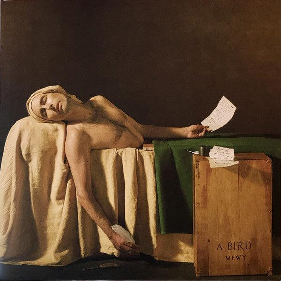 Andrew Bird - My Finest Work Yet - Good Records To Go