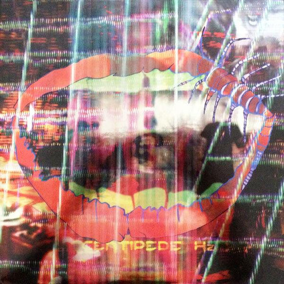 Animal Collective - Centipede Hz (Deluxe Edition) - Good Records To Go