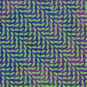 Animal Collective - Merriweather Post Pavilion - Good Records To Go