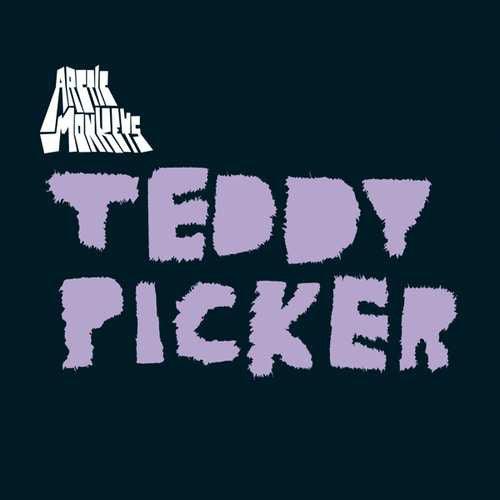 Arctic Monkeys - Teddy Picker 7