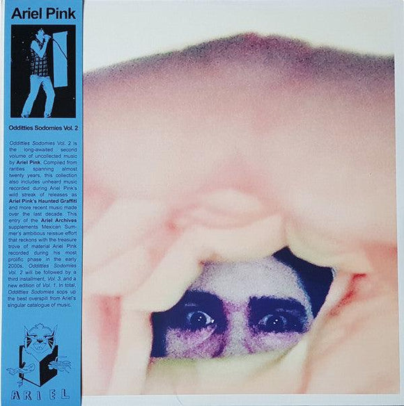 Ariel Pink's Haunted Graffiti - Odditties Sodomies Vol. 2 - Good Records To Go