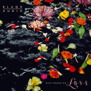 Blaqk Audio - Only Things We Love - Good Records To Go