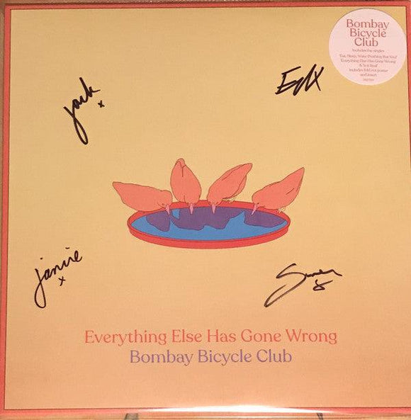 Bombay Bicycle Club - Everything Else Has Gone Wrong - Good Records To Go