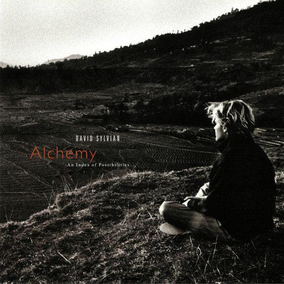 David Sylvian - Alchemy An Index Of Possibilities - Good Records To Go