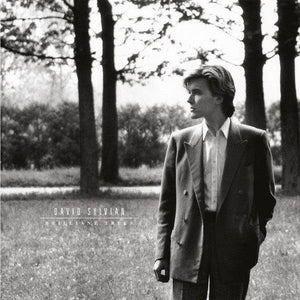 David Sylvian - Brilliant Trees - Good Records To Go