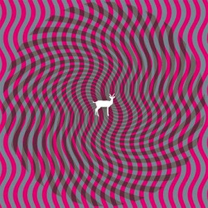 Deerhunter - Cryptograms / Fluorescent Grey - Good Records To Go