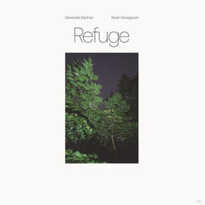 Devendra Banhart and Noah Georgeson - Refuge (Limited Edition Blue Seaglass Wave Translucent 2xLP) - Good Records To Go