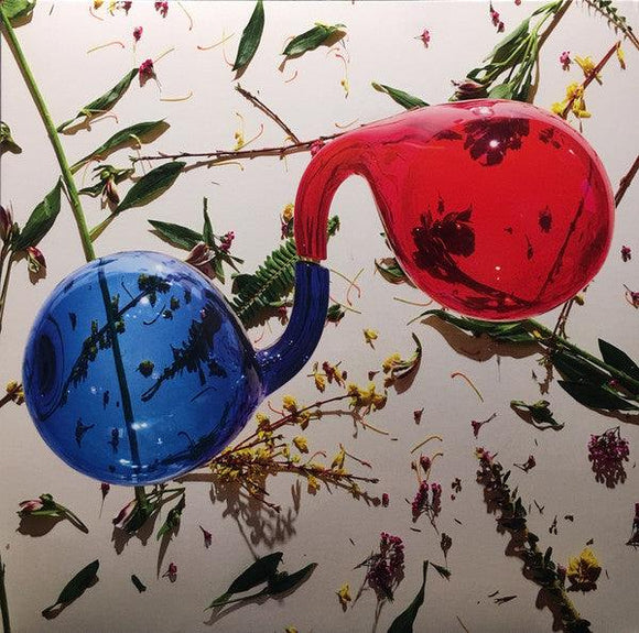 Dirty Projectors - Lamp Lit Prose - Good Records To Go
