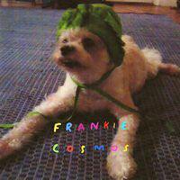 Frankie Cosmos - Zentropy - Good Records To Go