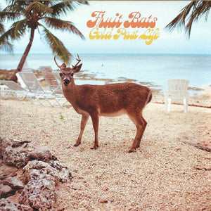 Fruit Bats - Gold Past Life - Good Records To Go