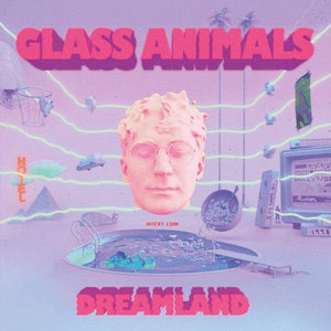 Glass Animals - Dreamland (Black Vinyl) - Good Records To Go