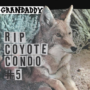 Grandaddy  - "RIP Coyote Condo #5" b/w " "The Fox in the Snow" & "In My Room" - Good Records To Go
