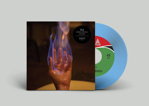 Greg Dulli - "A Ghost"/Girl From The North Country" - Good Records To Go