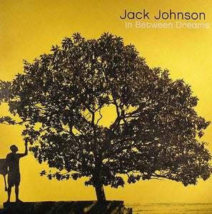 Jack Johnson - In Between Dreams - Good Records To Go