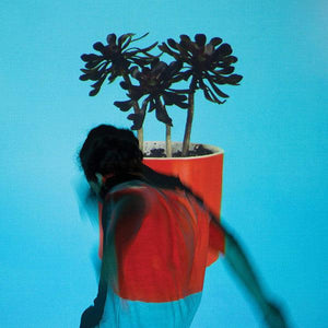 Local Natives - Sunlit Youth - Good Records To Go