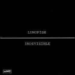 Lungfish - Indivisible - Good Records To Go