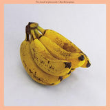 Mac McCaughan - Sound of Yourself (Pink & Orange Swirl Peal Vinyl) - Good Records To Go