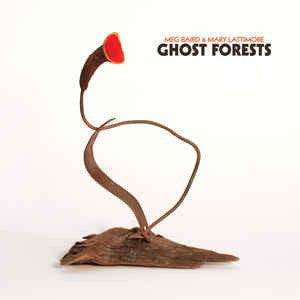 Meg Baird & Mary Lattimore - Ghost Forests - Good Records To Go