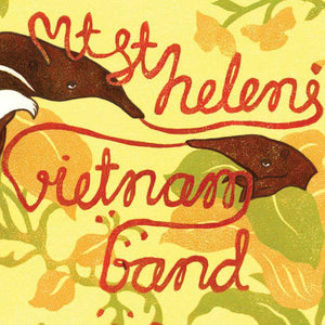Mt. St. Helens Vietnam Band - Mt. St. Helens Vietnam Band - Good Records To Go