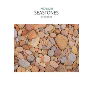Ned Lagin - Seastones: Set 4 - Good Records To Go
