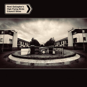 Noel Gallagher's High Flying Birds - Council Skies (LP+Bonus 7")