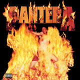Pantera -  Reinventing The Steel (Limited-Edition White & Southern Flames Yellow Marbled Vinyl) - Good Records To Go