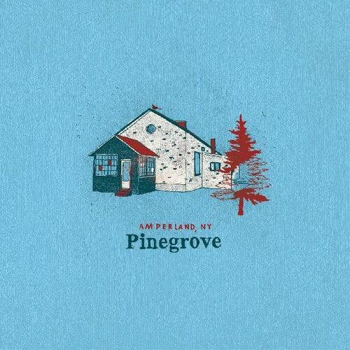 Pinegrove - Amperland, NY - Good Records To Go