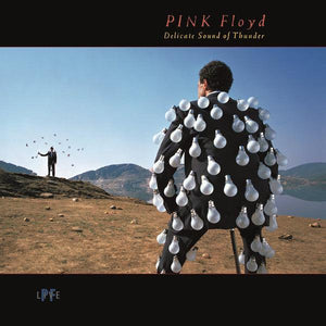 Pink Floyd - Delicate Sound Of Thunder - Good Records To Go