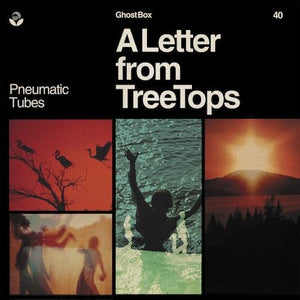 Pneumatic Tubes - A Letter from TreeTops - Good Records To Go