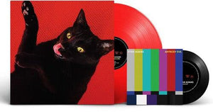 Ryan Adams - Big Colors (Red Vinyl with Bonus 7") - Good Records To Go