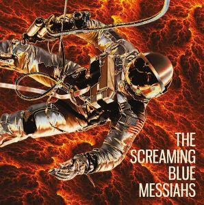 Screaming Blue Messiahs - Vision in Blues (CD Box Set) - Good Records To Go