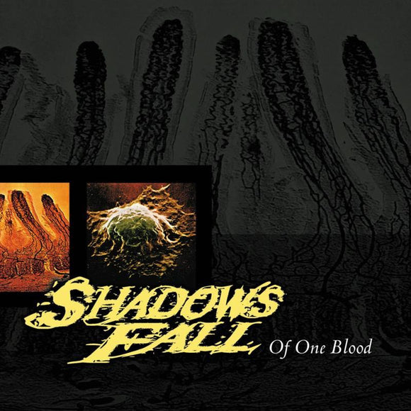 Shadows Fall  - Of One Blood - Good Records To Go
