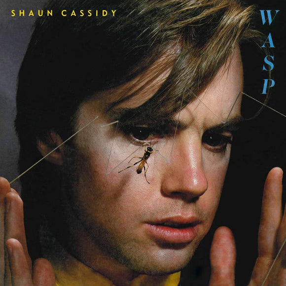 Shaun Cassidy  - Wasp - Good Records To Go