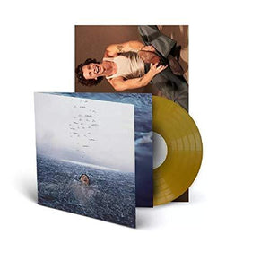 Shawn Mendes - Wonder (Gold Vinyl and Collectible Poster) - Good Records To Go